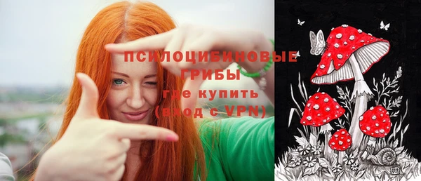 первитин Белокуриха