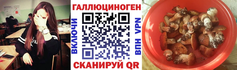 Галлюциногенные грибы мухоморы  Завитинск 